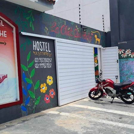 "Le Chat Qui Peche" Hostel A 150 Metros Da Praia De Pajucara Maceió Exterior foto